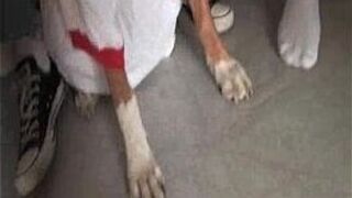 Ebony Teen Babe Sucks Group Of White Men - porn video