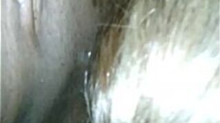 sucked up - porn video