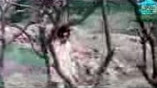 Tara nam - porn video