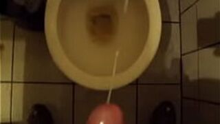 wank the cat - porn video